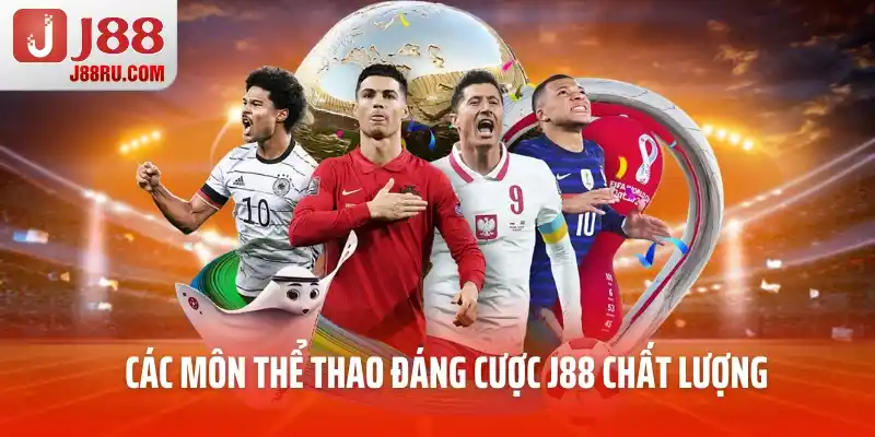 Các môn thể thao đáng cược chất lượng Các môn thể thao đáng cược chất lượng