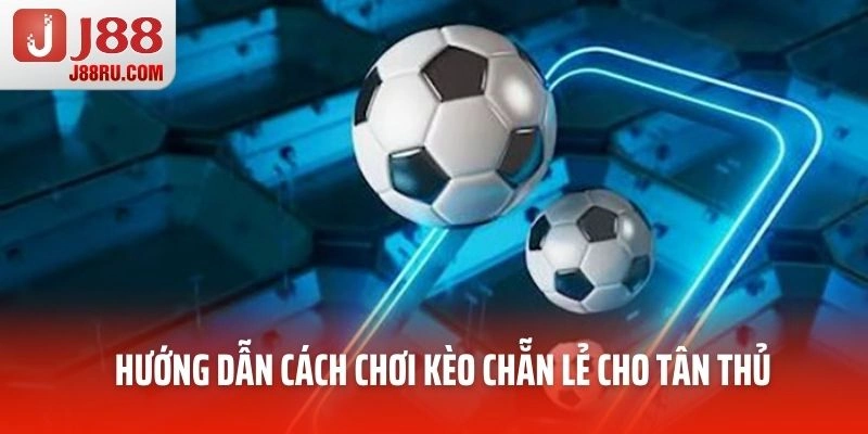 Hướng dẫn cách chơi kèo chẵn lẻ cho tân thủ Hướng dẫn cách chơi kèo chẵn lẻ cho tân thủ