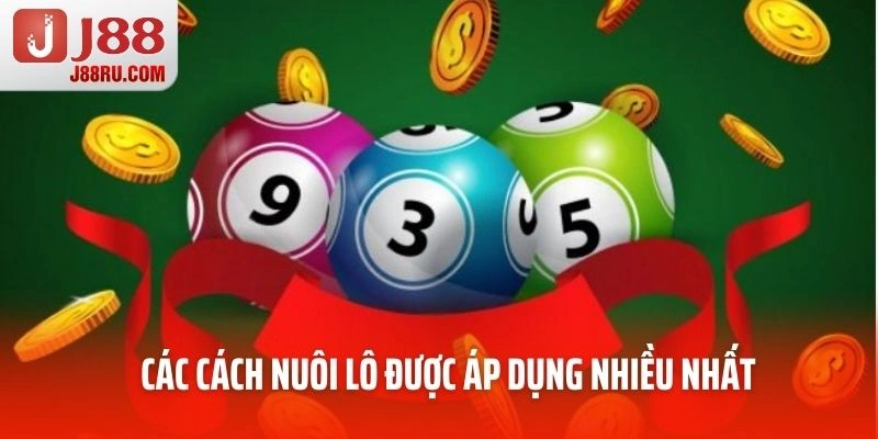 Các cách nuôi lô được áp dụng nhiều nhất Các cách nuôi lô được áp dụng nhiều nhất