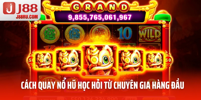 Tận dụng các kinh nghiệm từ chuyên gia