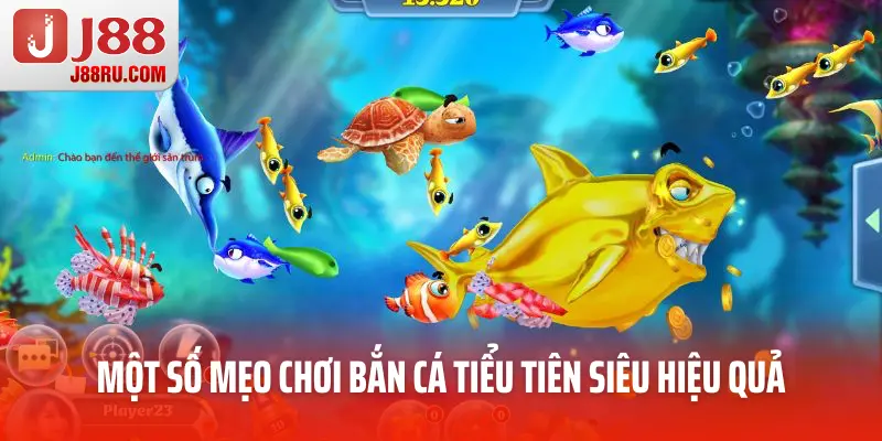 Một số mẹo chơi bắn cá tiểu tiên siêu hiệu quả Một số mẹo chơi bắn cá tiểu tiên siêu hiệu quả