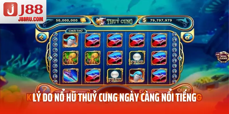 Lý do nổ hũ thuỷ cung ngày càng nổi tiếng Lý do nổ hũ thuỷ cung ngày càng nổi tiếng
