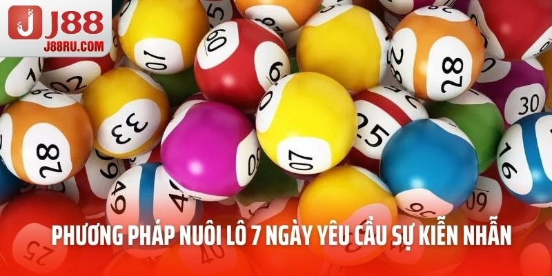 Phương pháp nuôi lô 7 ngày yêu cầu cao sự kiễn nhẫn Phương pháp nuôi lô 7 ngày yêu cầu cao sự kiễn nhẫn